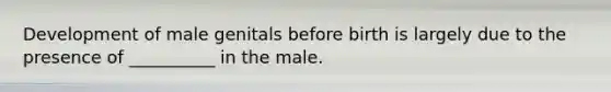 Development of male genitals before birth is largely due to the presence of __________ in the male.