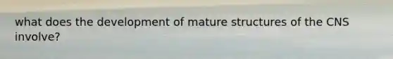 what does the development of mature structures of the CNS involve?