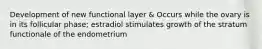 Development of new functional layer & Occurs while the ovary is in its follicular phase; estradiol stimulates growth of the stratum functionale of the endometrium