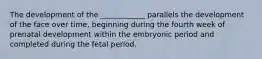 The development of the ____________ parallels the development of the face over time, beginning during the fourth week of prenatal development within the embryonic period and completed during the fetal period.