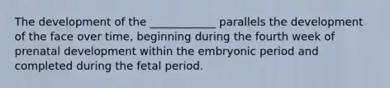 The development of the ____________ parallels the development of the face over time, beginning during the fourth week of <a href='https://www.questionai.com/knowledge/kMumvNdQFH-prenatal-development' class='anchor-knowledge'>prenatal development</a> within the embryonic period and completed during the fetal period.