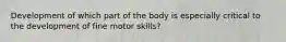 Development of which part of the body is especially critical to the development of fine motor skills?