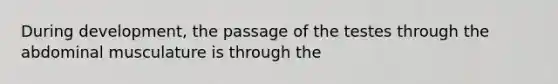 During development, the passage of the testes through the abdominal musculature is through the