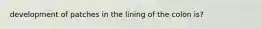 development of patches in the lining of the colon is?