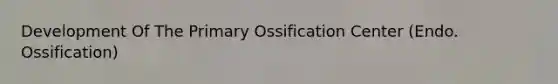 Development Of The Primary Ossification Center (Endo. Ossification)