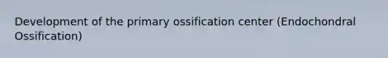 Development of the primary ossification center (Endochondral Ossification)