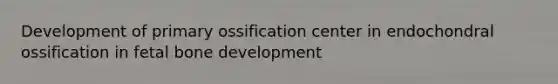 Development of primary ossification center in endochondral ossification in fetal bone development