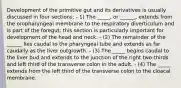 Development of the primitive gut and its derivatives is usually discussed in four sections: - 1) The _____, or ______, extends from the oropharyngeal membrane to the respiratory diverticulum and is part of the foregut; this section is particularly important for development of the head and neck. - (2) The remainder of the ______ lies caudal to the pharyngeal tube and extends as far caudally as the liver outgrowth. - (3) The _____ begins caudal to the liver bud and extends to the junction of the right two-thirds and left third of the transverse colon in the adult. - (4) The _____ extends from the left third of the transverse colon to the cloacal membrane.