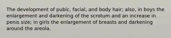 The development of pubic, facial, and body hair; also, in boys the enlargement and darkening of the scrotum and an increase in penis size; in girls the enlargement of breasts and darkening around the areola.