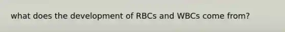 what does the development of RBCs and WBCs come from?