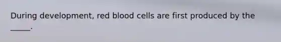 During development, red blood cells are first produced by the _____.