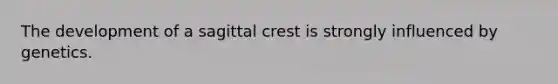 The development of a sagittal crest is strongly influenced by genetics.