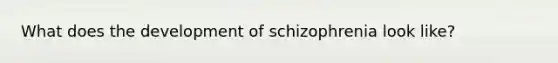 What does the development of schizophrenia look like?