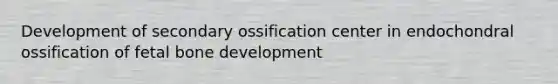 Development of secondary ossification center in endochondral ossification of fetal bone development