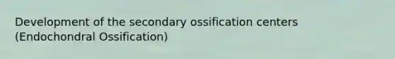 Development of the secondary ossification centers (Endochondral Ossification)