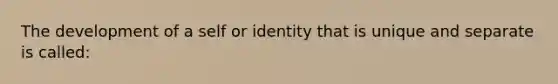 The development of a self or identity that is unique and separate is called: