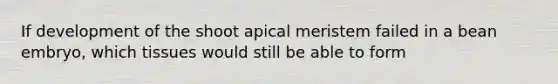 If development of the shoot apical meristem failed in a bean embryo, which tissues would still be able to form