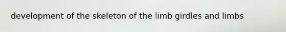 development of the skeleton of the limb girdles and limbs