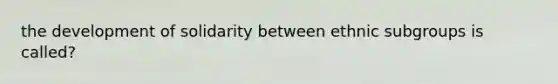 the development of solidarity between ethnic subgroups is called?