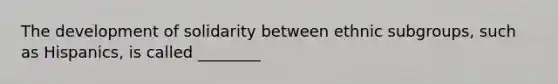 The development of solidarity between ethnic subgroups, such as Hispanics, is called ________