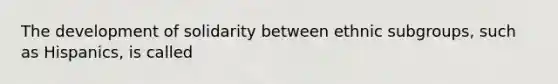 The development of solidarity between ethnic subgroups, such as Hispanics, is called