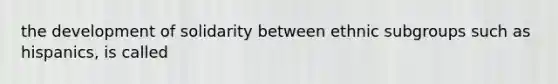 the development of solidarity between ethnic subgroups such as hispanics, is called