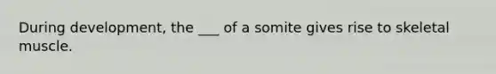 During development, the ___ of a somite gives rise to skeletal muscle.