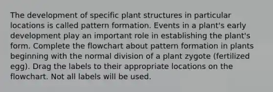 The development of specific plant structures in particular locations is called pattern formation. Events in a plant's early development play an important role in establishing the plant's form. Complete the flowchart about pattern formation in plants beginning with the normal division of a plant zygote (fertilized egg). Drag the labels to their appropriate locations on the flowchart. Not all labels will be used.