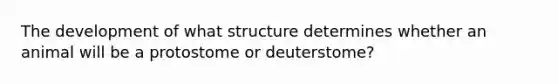 The development of what structure determines whether an animal will be a protostome or deuterstome?