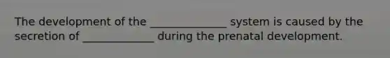 The development of the ______________ system is caused by the secretion of _____________ during the <a href='https://www.questionai.com/knowledge/kMumvNdQFH-prenatal-development' class='anchor-knowledge'>prenatal development</a>.