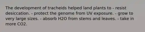 The development of tracheids helped land plants to - resist desiccation. - protect the genome from UV exposure. - grow to very large sizes. - absorb H2O from stems and leaves. - take in more CO2.