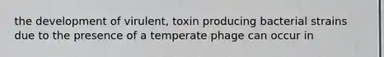 the development of virulent, toxin producing bacterial strains due to the presence of a temperate phage can occur in