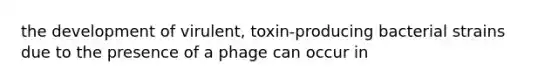 the development of virulent, toxin-producing bacterial strains due to the presence of a phage can occur in