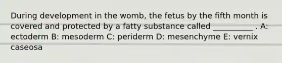 During development in the womb, the fetus by the fifth month is covered and protected by a fatty substance called __________ . A: ectoderm B: mesoderm C: periderm D: mesenchyme E: vernix caseosa