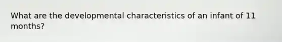 What are the developmental characteristics of an infant of 11 months?