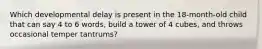 Which developmental delay is present in the 18-month-old child that can say 4 to 6 words, build a tower of 4 cubes, and throws occasional temper tantrums?