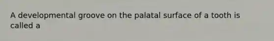 A developmental groove on the palatal surface of a tooth is called a