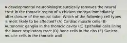 A developmental neurobiologist surgically removes the neural crest in the thoracic region of a chicken embryo immediately after closure of the neural tube. Which of the following cell types is most likely to be affected? (A) Cardiac muscle cells (B) Autonomic ganglia in the thoracic cavity (C) Epithelial cells lining the lower respiratory tract (D) Bone cells in the ribs (E) Skeletal muscle cells in the thoracic wall