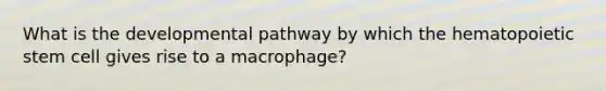 What is the developmental pathway by which the hematopoietic stem cell gives rise to a macrophage?