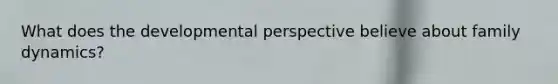 What does the developmental perspective believe about family dynamics?