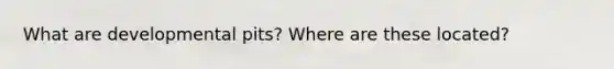 What are developmental pits? Where are these located?