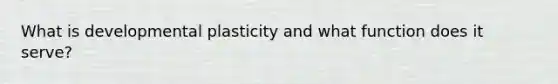 What is developmental plasticity and what function does it serve?