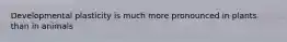 Developmental plasticity is much more pronounced in plants than in animals