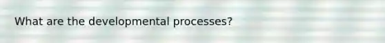 What are the developmental processes?