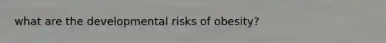 what are the developmental risks of obesity?