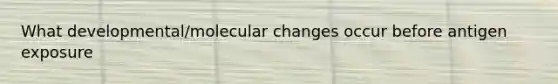 What developmental/molecular changes occur before antigen exposure