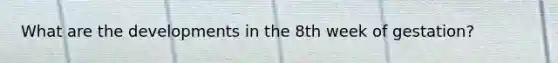 What are the developments in the 8th week of gestation?