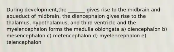 During development,the _______ gives rise to the midbrain and aqueduct of midbrain, the diencephalon gives rise to the thalamus, hypothalamus, and third ventricle and the myelencephalon forms the medulla oblongata a) diencephalon b) mesencephalon c) metencephalon d) myelencephalon e) telencephalon