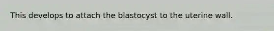 This develops to attach the blastocyst to the uterine wall.