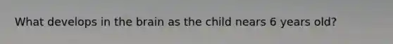 What develops in the brain as the child nears 6 years old?